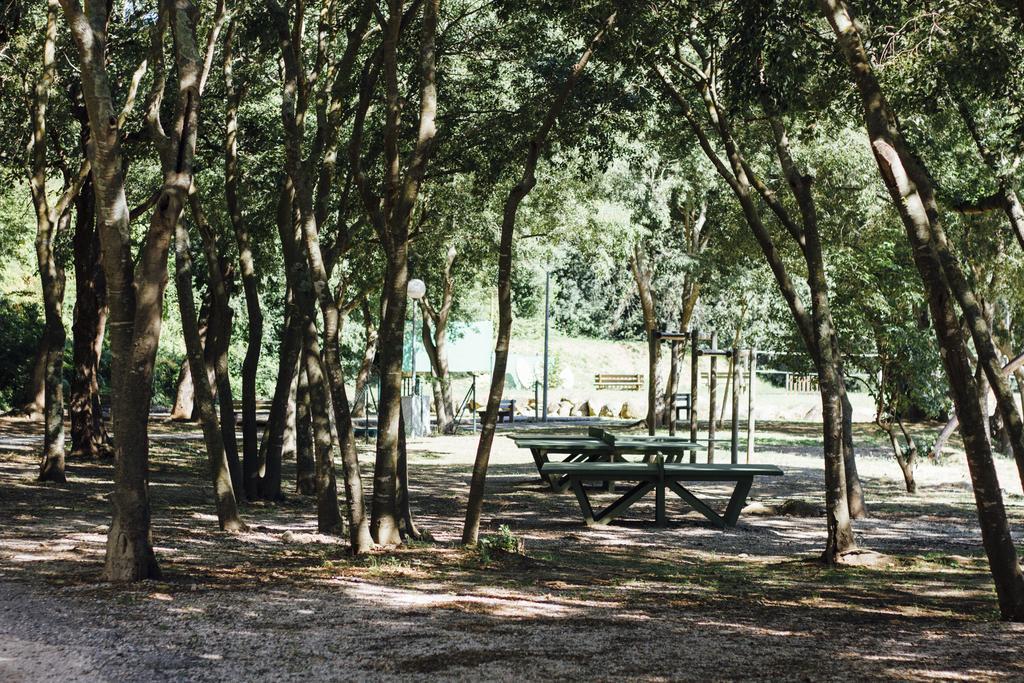 Camping Le Bois Fleuri